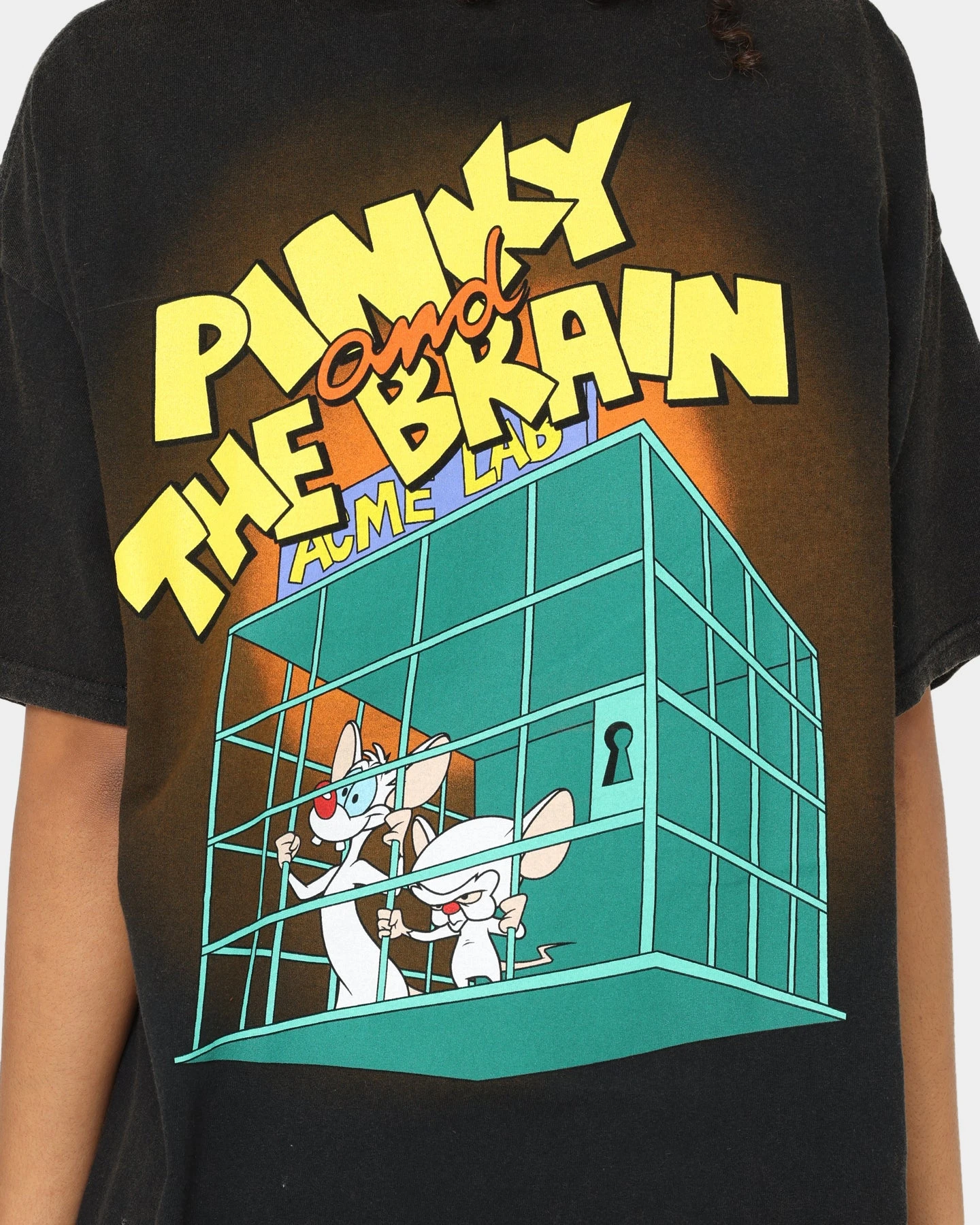 American Thrift X Pinky And The Brain Pinky And The Brain Vintage T-Shirt Black Wash 7 American Thrift X Pinky And The Brain Pinky And The Brain Vintage T-Shirt Black Wash - Image 5