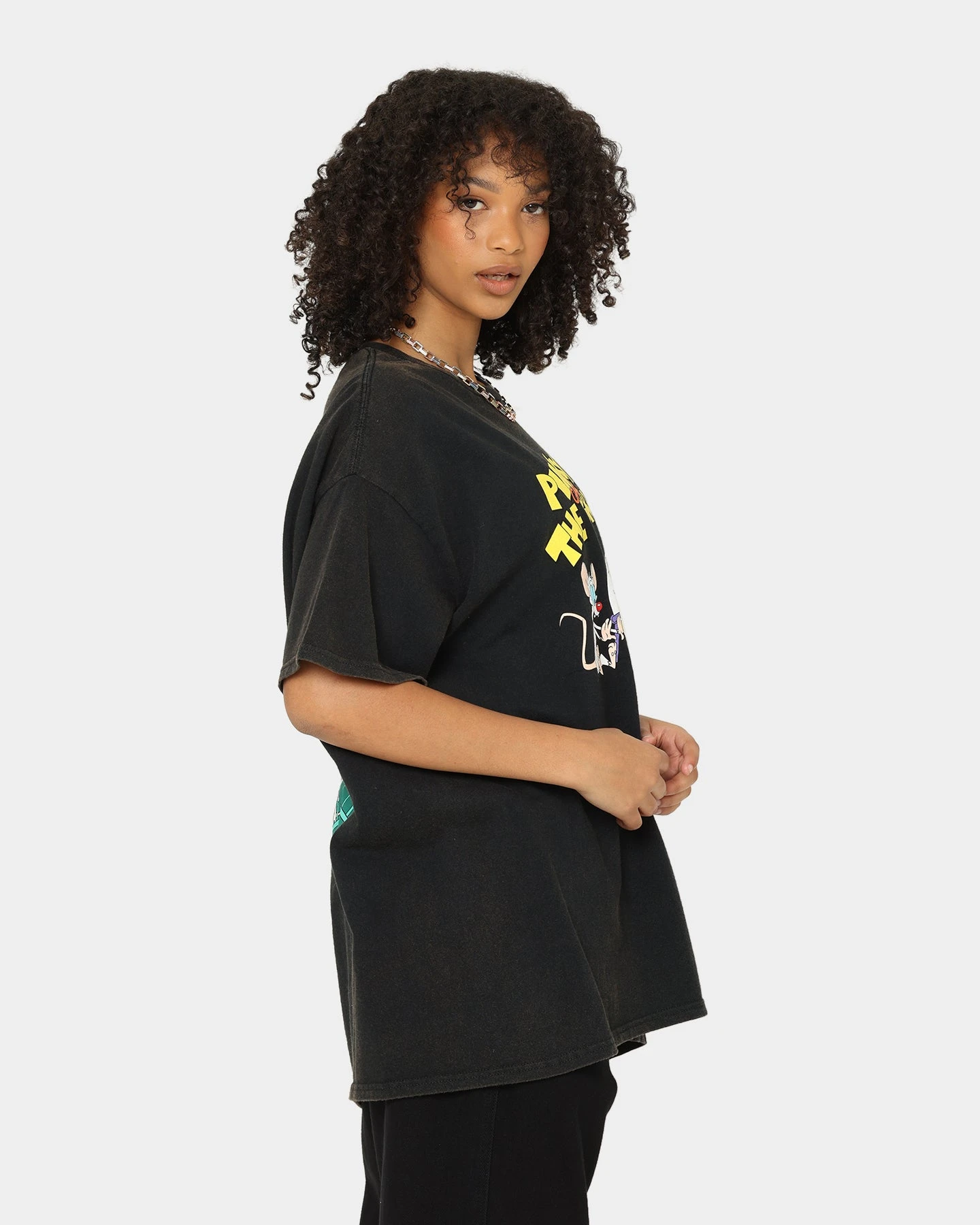 American Thrift X Pinky And The Brain Pinky And The Brain Vintage T-Shirt Black Wash 8 American Thrift X Pinky And The Brain Pinky And The Brain Vintage T-Shirt Black Wash - Image 6