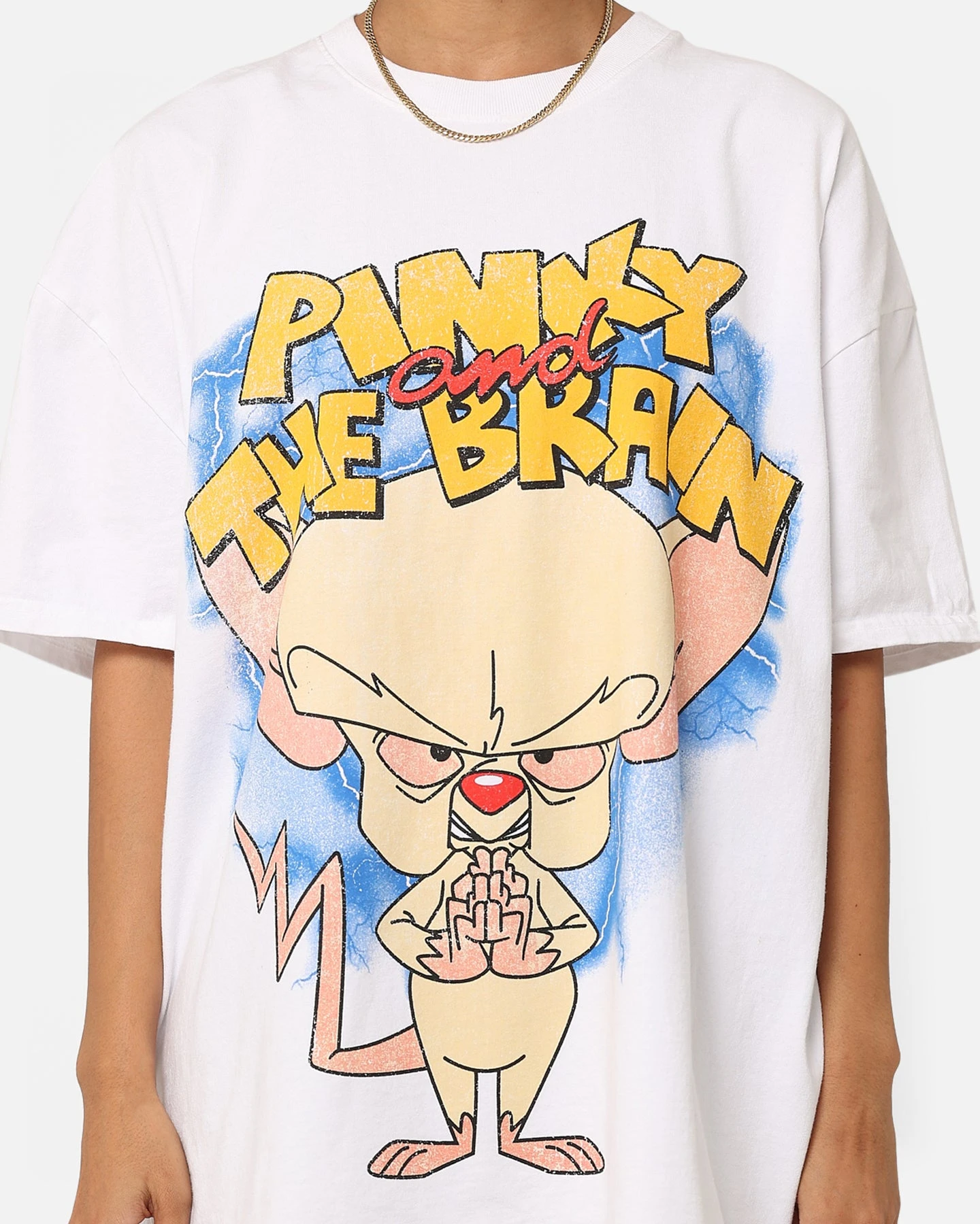 American Thrift X Cartoon Network Pinky & The Brain Heavyweight Vintage T-Shirt White 5 American Thrift X Cartoon Network Pinky & The Brain Heavyweight Vintage T-Shirt White - Image 3